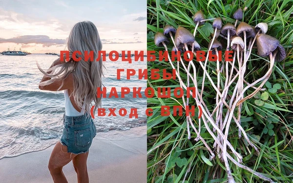 мдпв Нягань