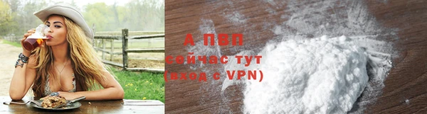 PSILOCYBIN Нязепетровск