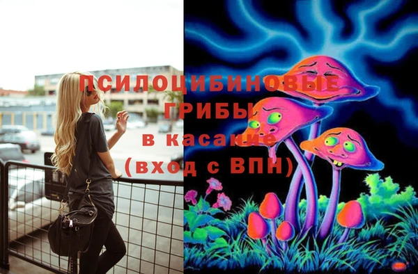 мдпв Нягань