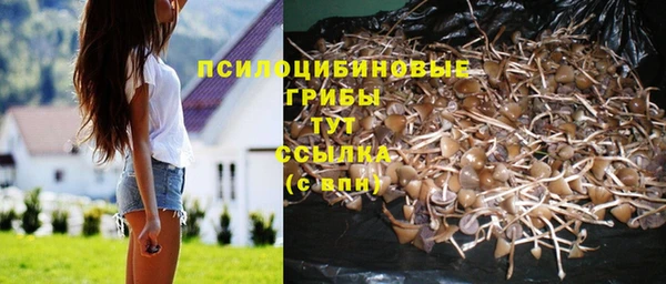 мдпв Нягань