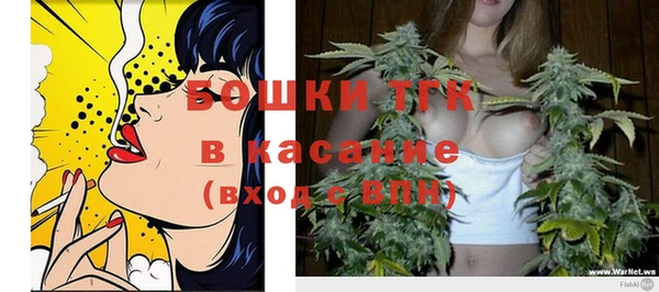 мдпв Нягань