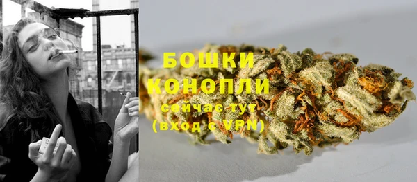 мдпв Нягань
