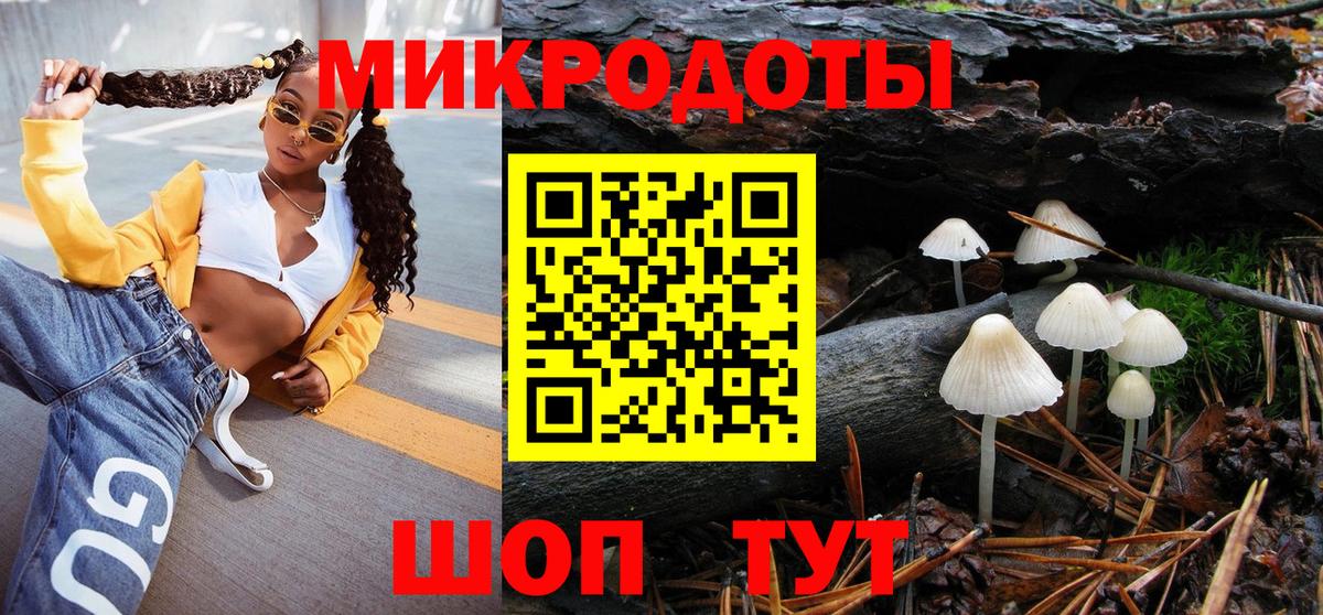 Галлюциногенные грибы Cubensis Кизляр