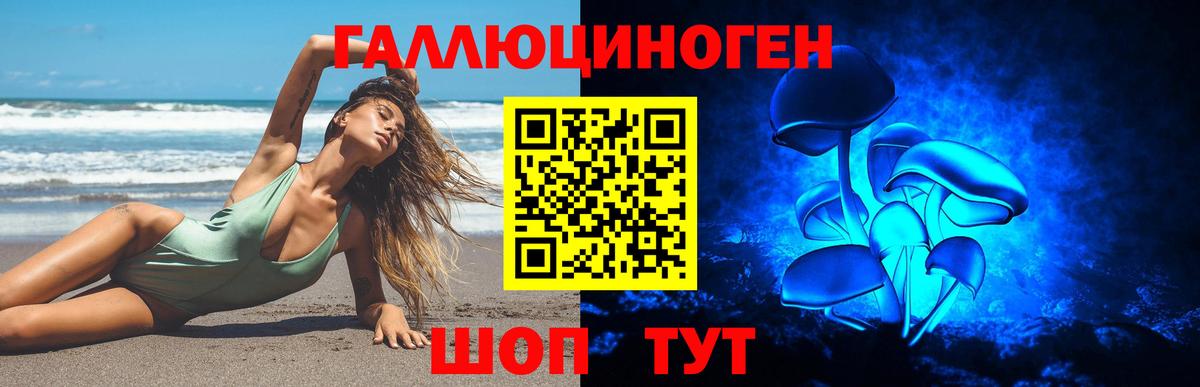Кизляр  Псилоцибиновые грибы Psilocybe  Вход с VPN 