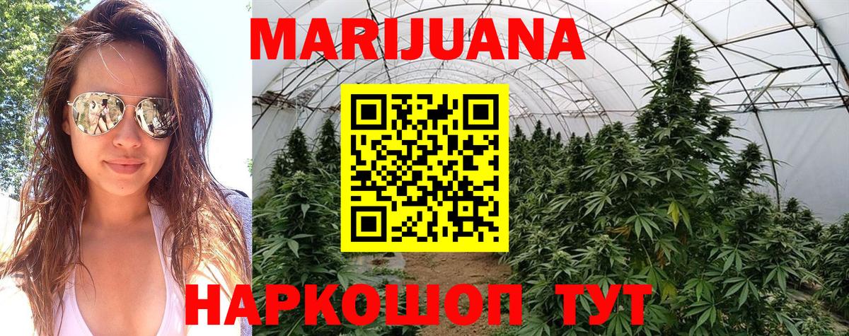 Каннабис OG Kush Кизляр